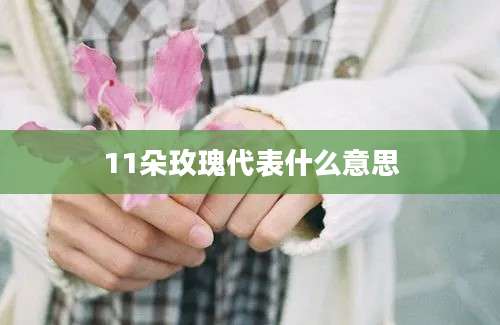 11朵玫瑰代表什么意思