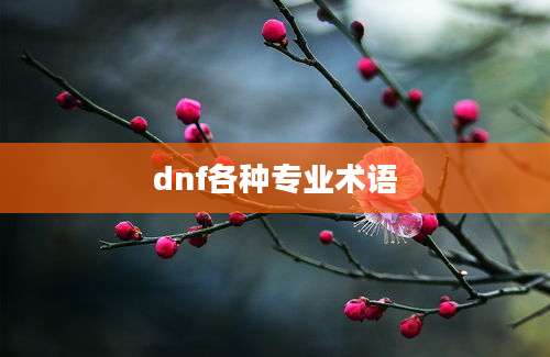 dnf各种专业术语