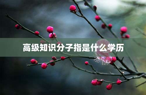 高级知识分子指是什么学历