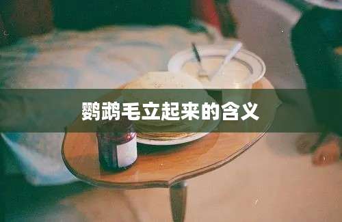 鹦鹉毛立起来的含义