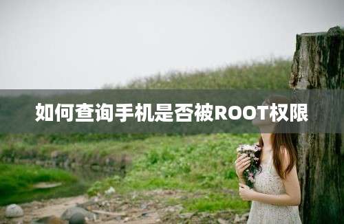 如何查询手机是否被ROOT权限