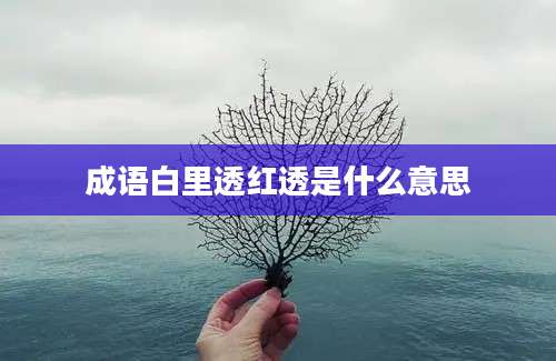 成语白里透红透是什么意思