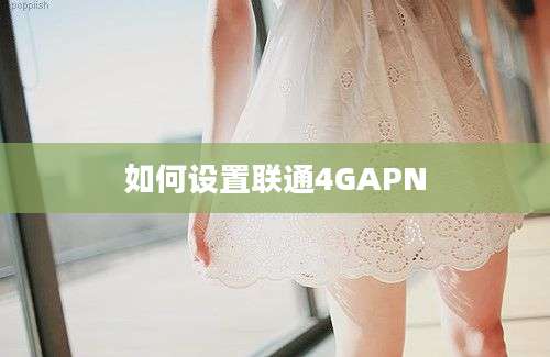 如何设置联通4GAPN