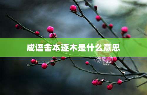 成语舍本逐木是什么意思