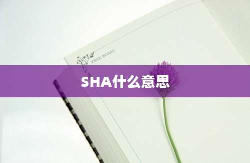 SHA什么意思