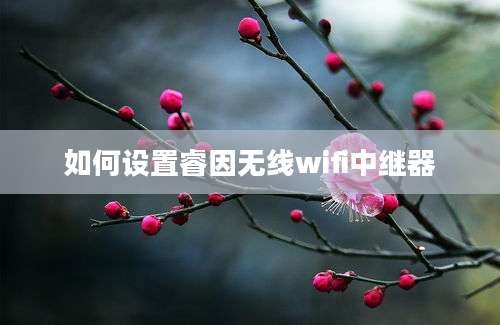 如何设置睿因无线wifi中继器