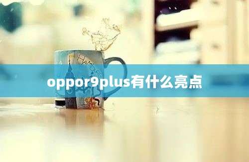 oppor9plus有什么亮点