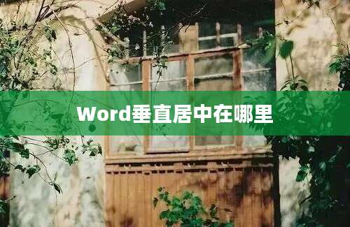 Word垂直居中在哪里