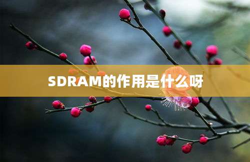 SDRAM的作用是什么呀