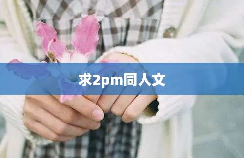 求2pm同人文