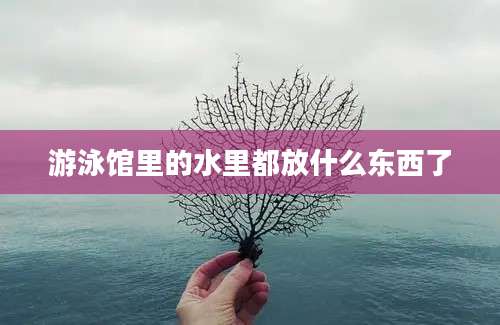 游泳馆里的水里都放什么东西了