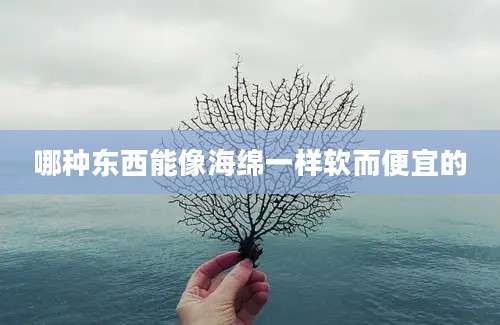 哪种东西能像海绵一样软而便宜的