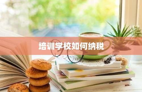 培训学校如何纳税