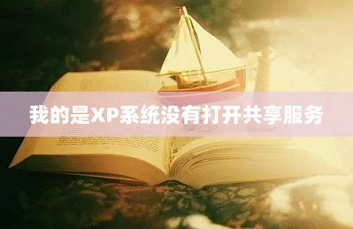 我的是XP系统没有打开共享服务