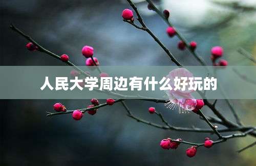 人民大学周边有什么好玩的