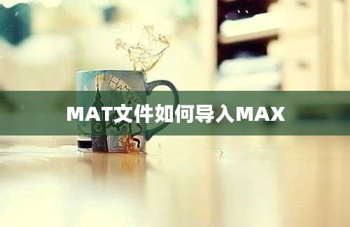 MAT文件如何导入MAX