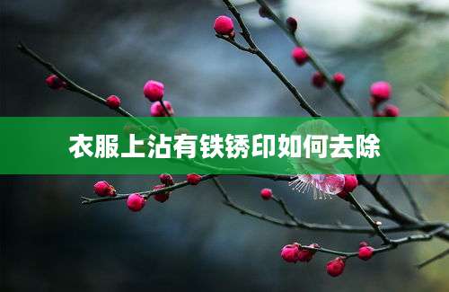 衣服上沾有铁锈印如何去除