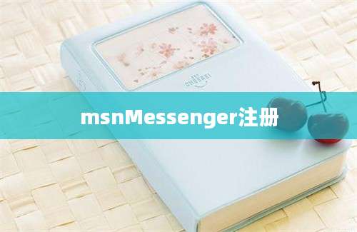 msnMessenger注册