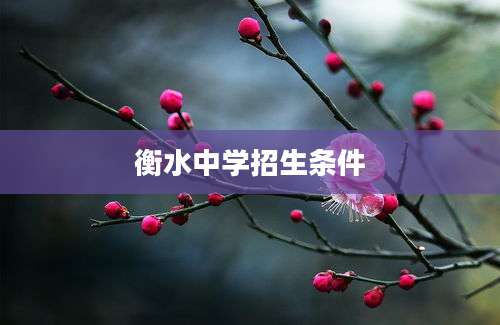 衡水中学招生条件