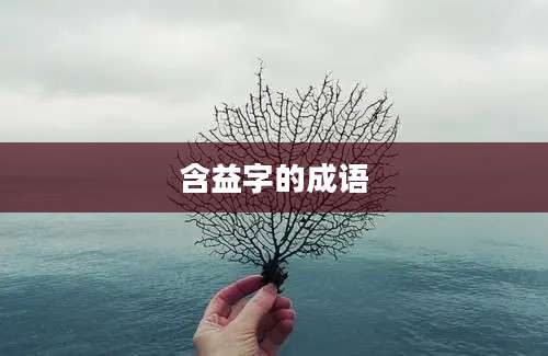 含益字的成语