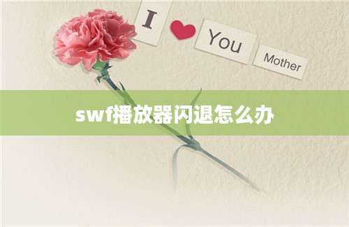 swf播放器闪退怎么办