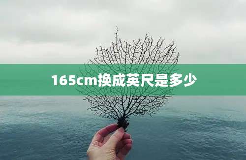 165cm换成英尺是多少