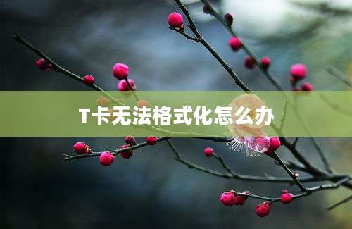 T卡无法格式化怎么办