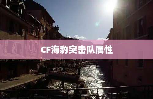 CF海豹突击队属性