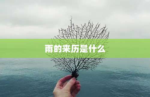 雨的来历是什么