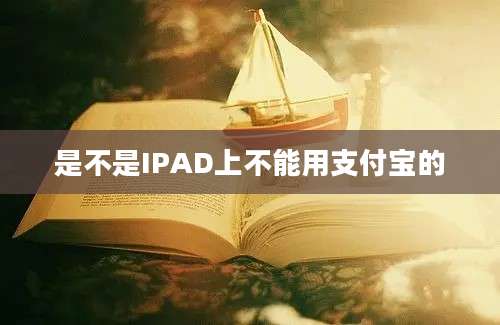 是不是IPAD上不能用支付宝的