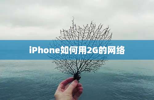 iPhone如何用2G的网络