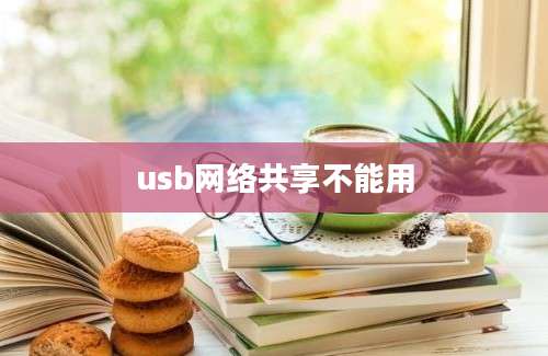 usb网络共享不能用