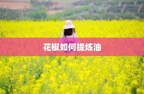 花椒如何提炼油