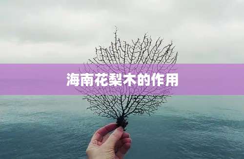 海南花梨木的作用