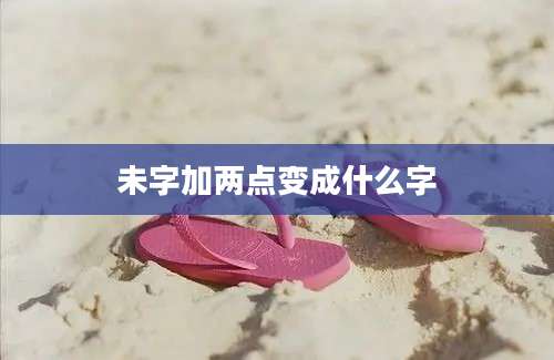 未字加两点变成什么字