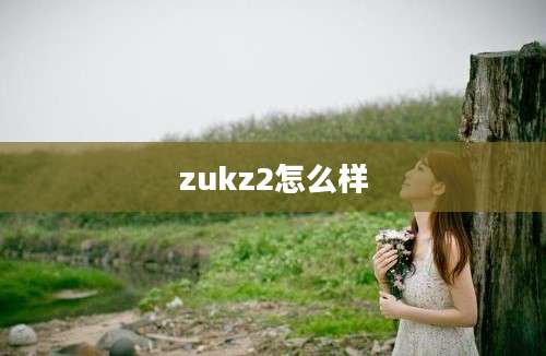 zukz2怎么样