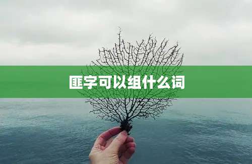 匪字可以组什么词