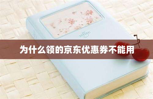 为什么领的京东优惠券不能用