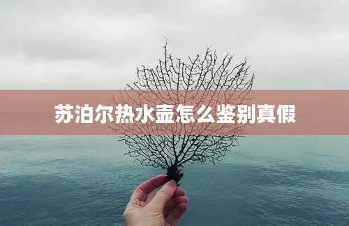 苏泊尔热水壶怎么鉴别真假