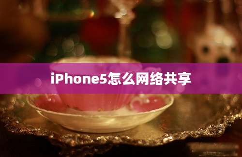 iPhone5怎么网络共享