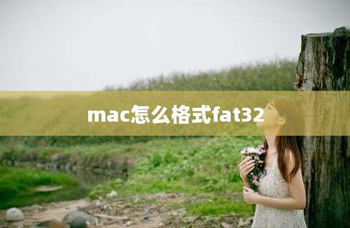 mac怎么格式fat32