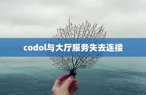 codol与大厅服务失去连接