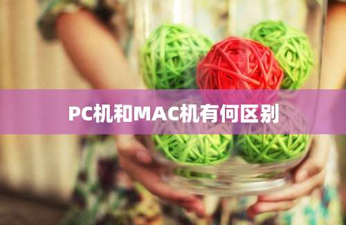 PC机和MAC机有何区别