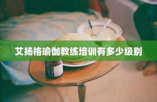 艾扬格瑜伽教练培训有多少级别