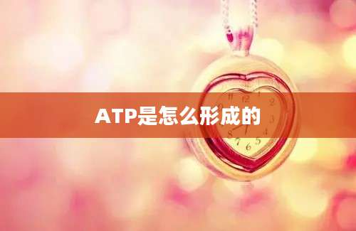 ATP是怎么形成的