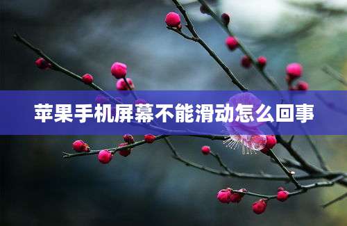 苹果手机屏幕不能滑动怎么回事