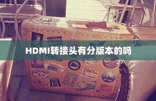 HDMI转接头有分版本的吗