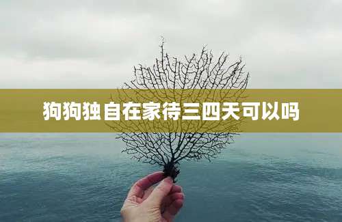 狗狗独自在家待三四天可以吗