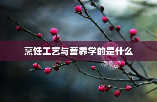 烹饪工艺与营养学的是什么