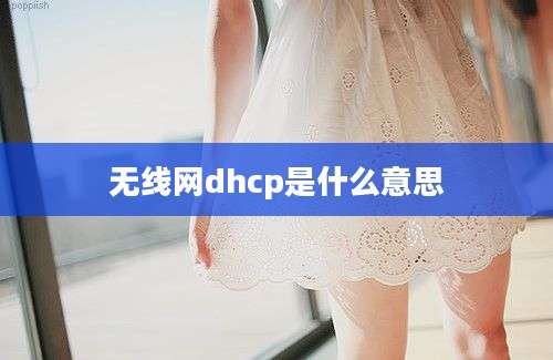 无线网dhcp是什么意思